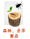 森林、倉庫害蟲