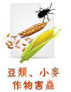 豆類、棉花及小麥作物害蟲